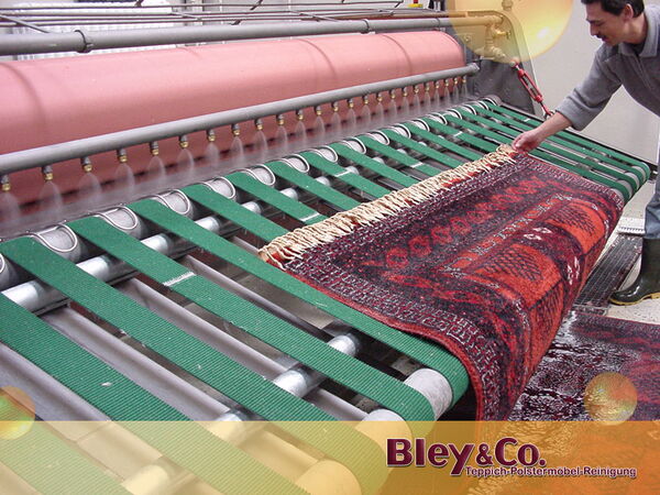Teppichwäsche Bley & Co. Spülwringer