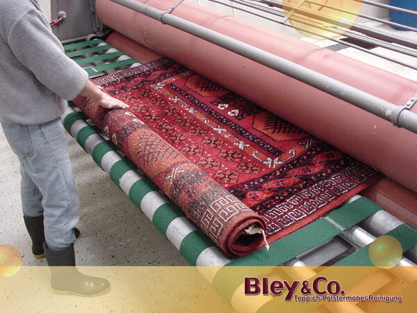 Teppichwäsche Teppich Flor aufarbeiten